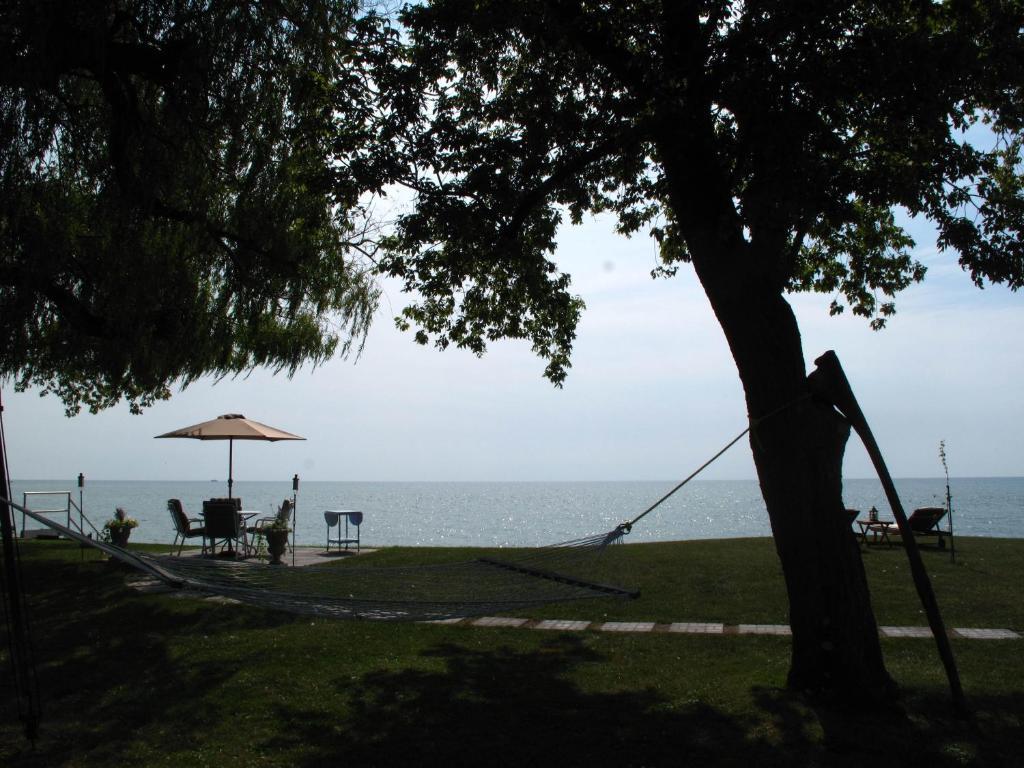 Omstead'S On Erie B&B Wheatley Extérieur photo